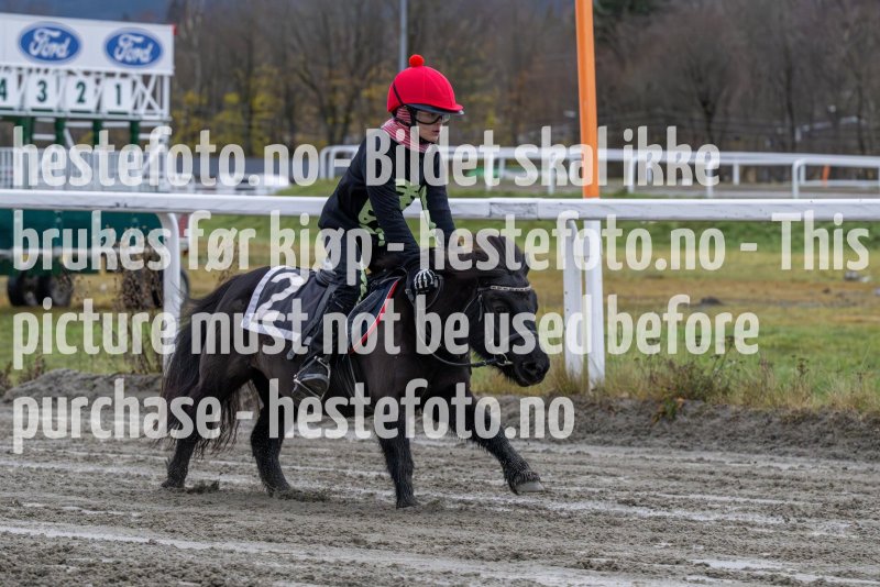 20231105-154446-DSC_7399-2