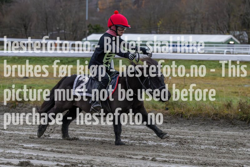 20231105-154446-DSC_7407-2