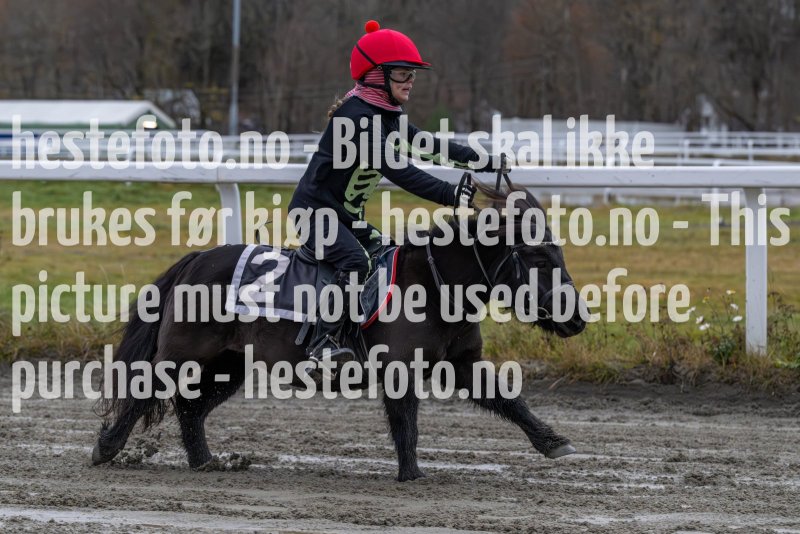 20231105-154447-DSC_7414-2