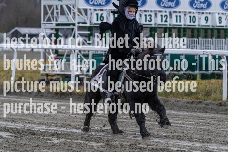 20231105-154448-DSC_7422-2