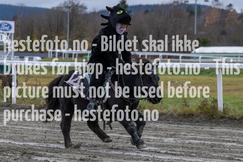 20231105-154449-DSC_7435-2