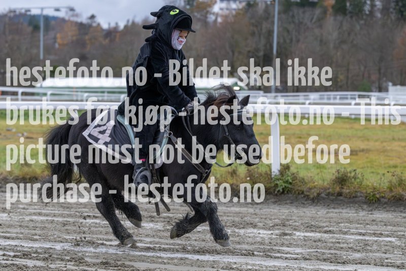 20231105-154449-DSC_7442-2
