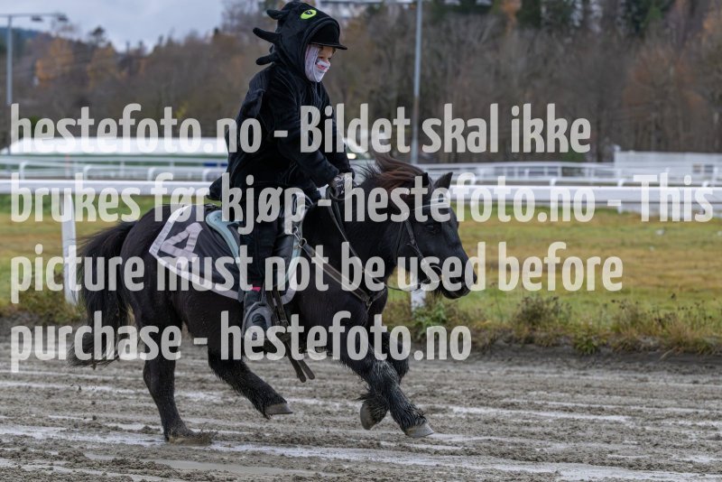 20231105-154449-DSC_7443-2