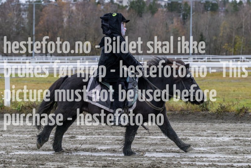 20231105-154450-DSC_7454-2