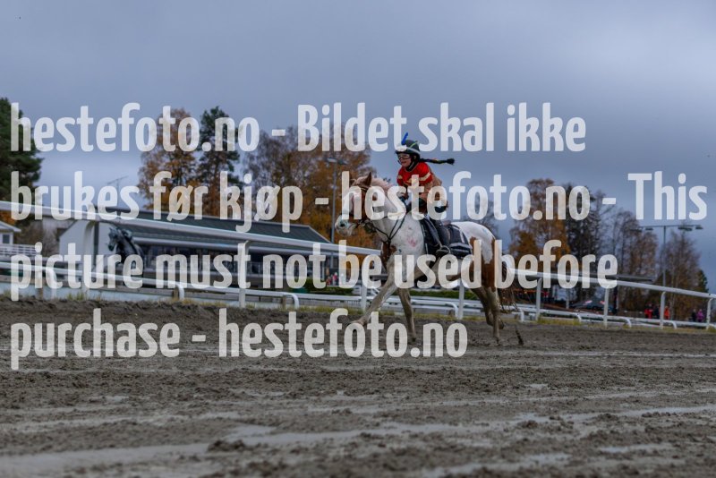 20231105-154647-YNE00564