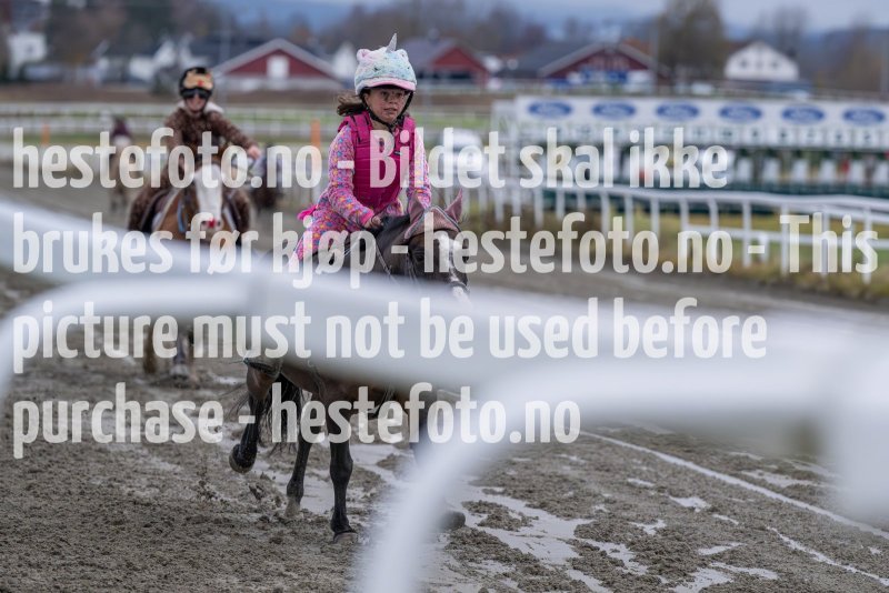 20231105-155153-DSC_7467-2