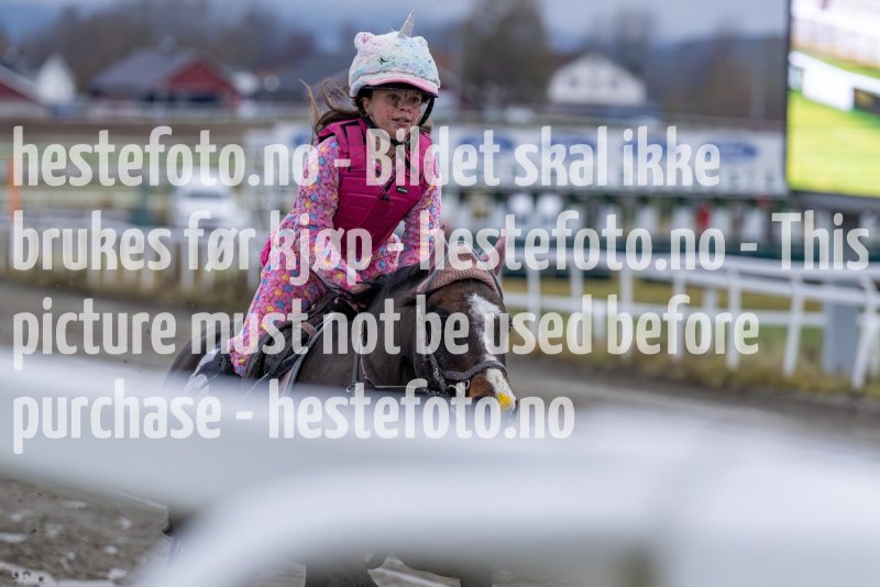 20231105-155153-DSC_7473-2