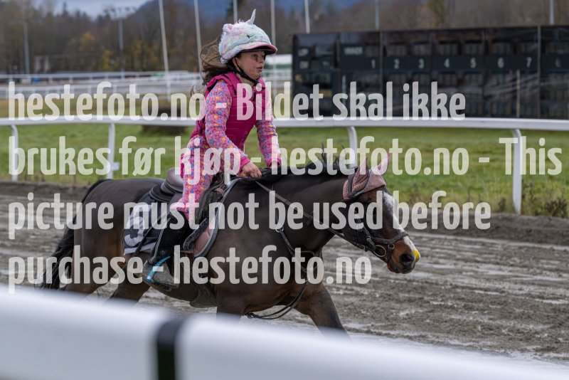 20231105-155155-DSC_7485-2