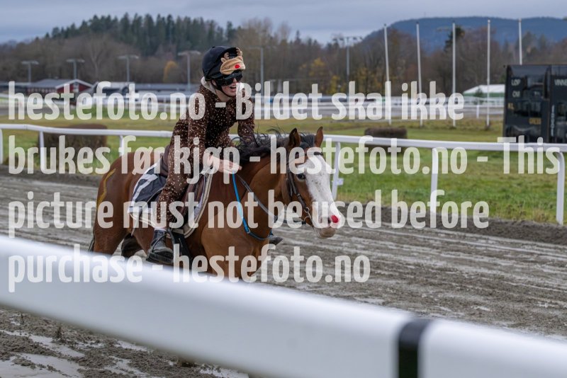 20231105-155156-DSC_7495-2