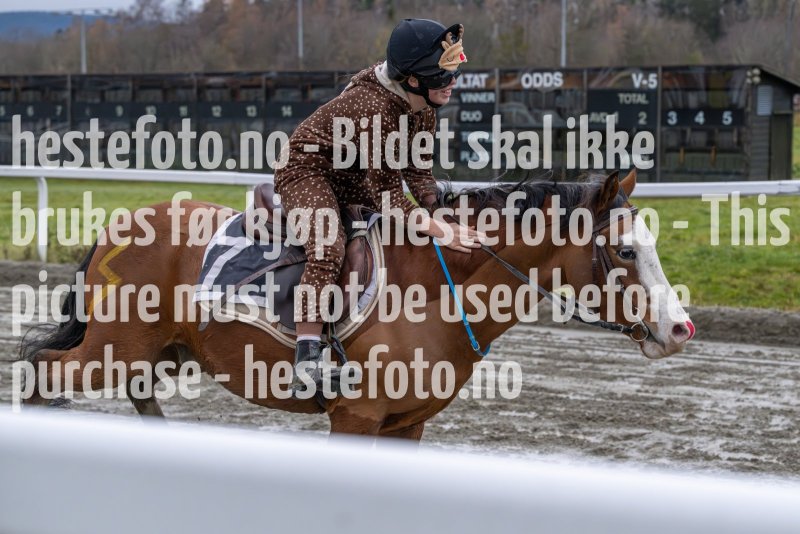 20231105-155156-DSC_7506-2