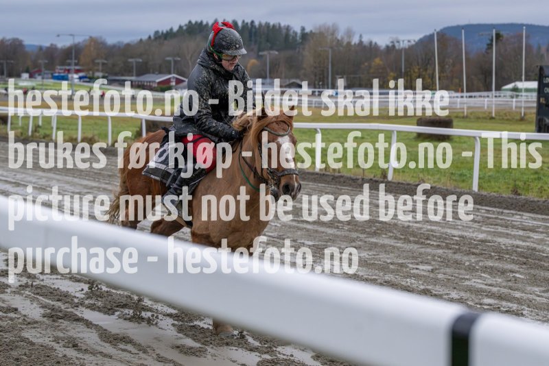 20231105-155159-DSC_7516-2