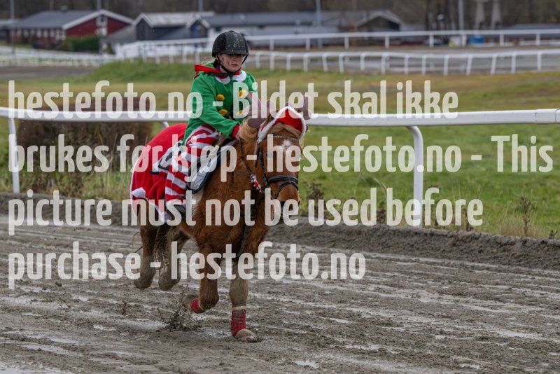 20231105-155204-DSC_7540-2