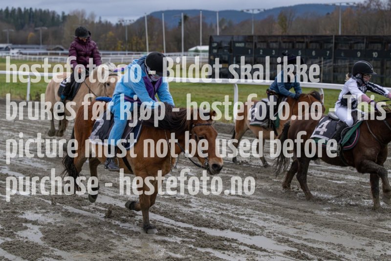 20231105-155208-DSC_7581-2