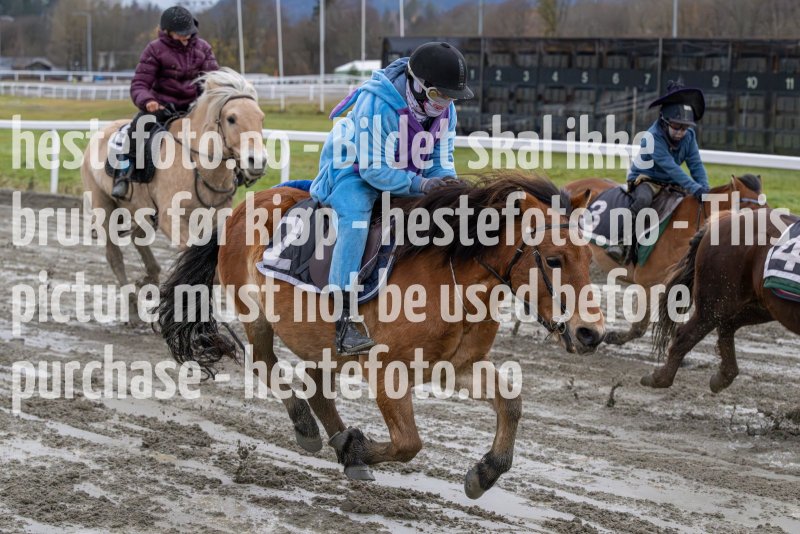 20231105-155208-DSC_7584-2