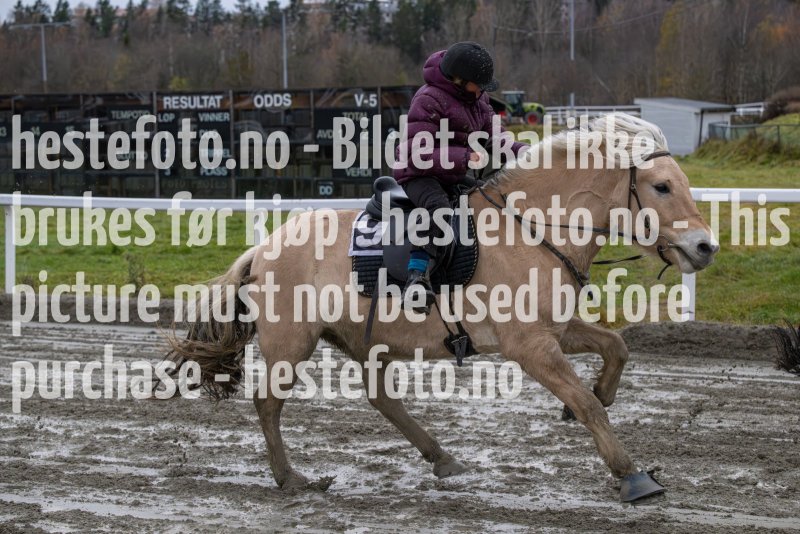20231105-155209-DSC_7601-2