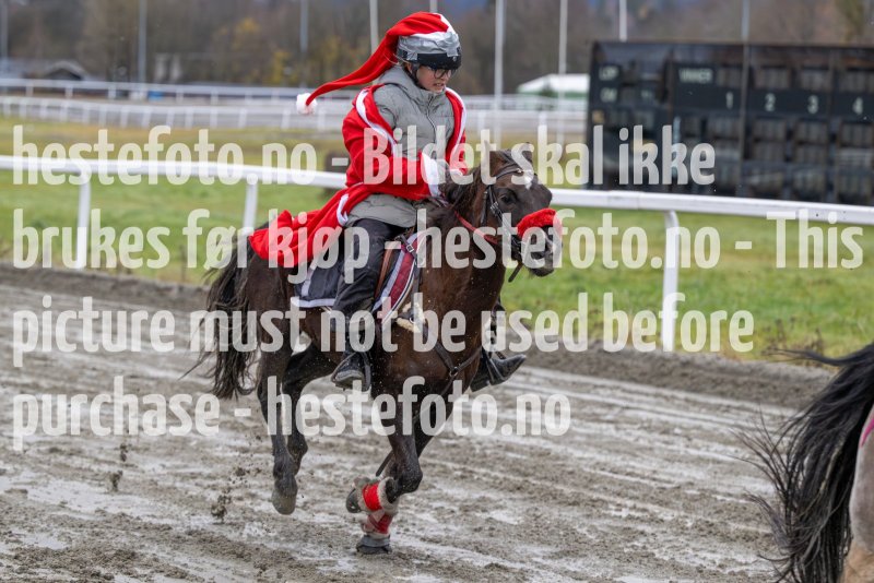 20231105-155747-DSC_7755-2