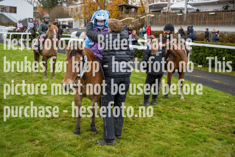 20231105-160432-DSC8607