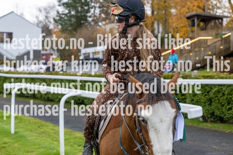 20231105-160456-DSC_8155-2