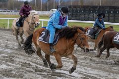 20231105-155208-DSC_7584-2