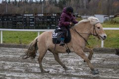 20231105-155209-DSC_7601-2