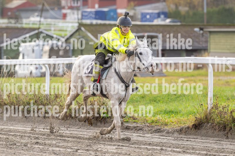 20251102-163057-DSC0482