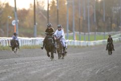 20251102-161611-DSC_2185
