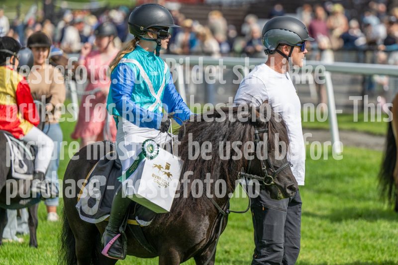 20240825-130818-DSC_8213