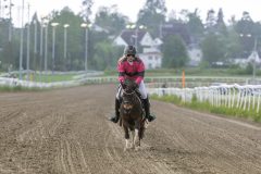 20250605-173630-DSC_0415