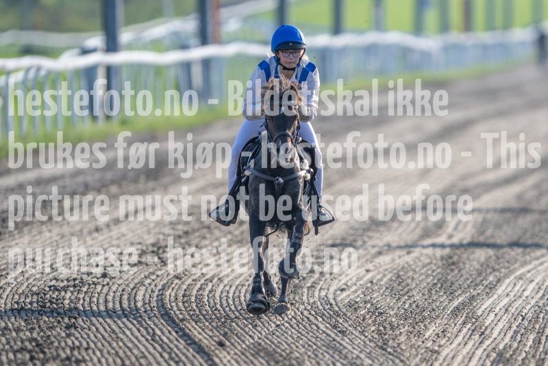 20240905-173352-DSC_1319