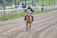 20230907-171211-DSC_9749