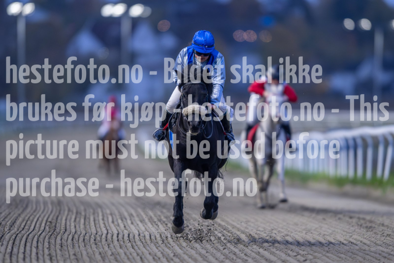 20261015-174208-DSC_6729