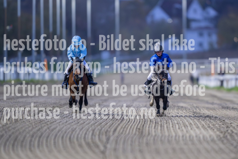 20261015-174731-DSC_7079
