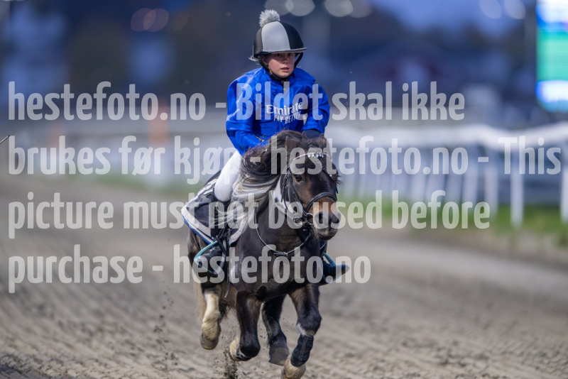 20261015-174736-DSC_7154