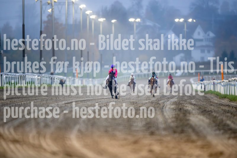 20241017-170549-DSC_5229