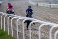 20241017-170928-DSC_5549