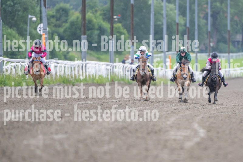 20240622-174423-DSC_8671