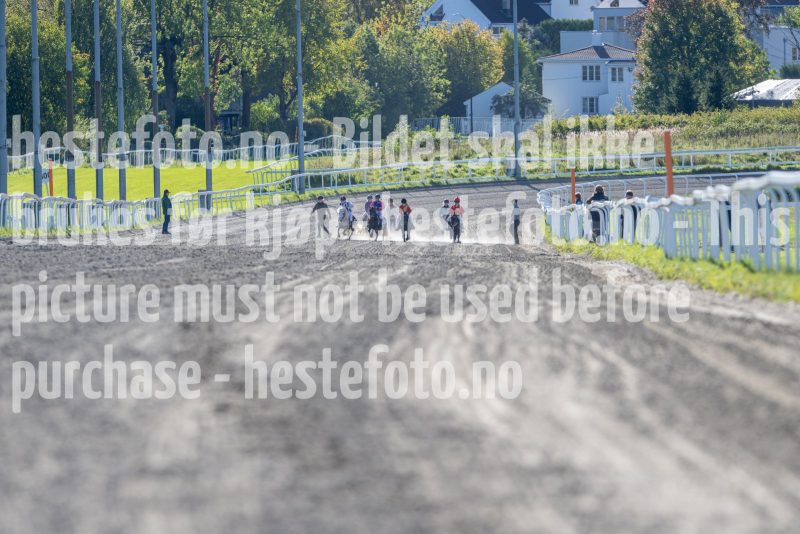 20240929-144226-DSC_2517