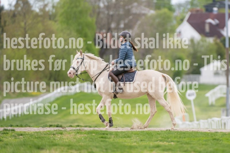 20250503-142126-DSC_4916