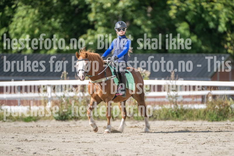 20260905-131400-DSC_0472