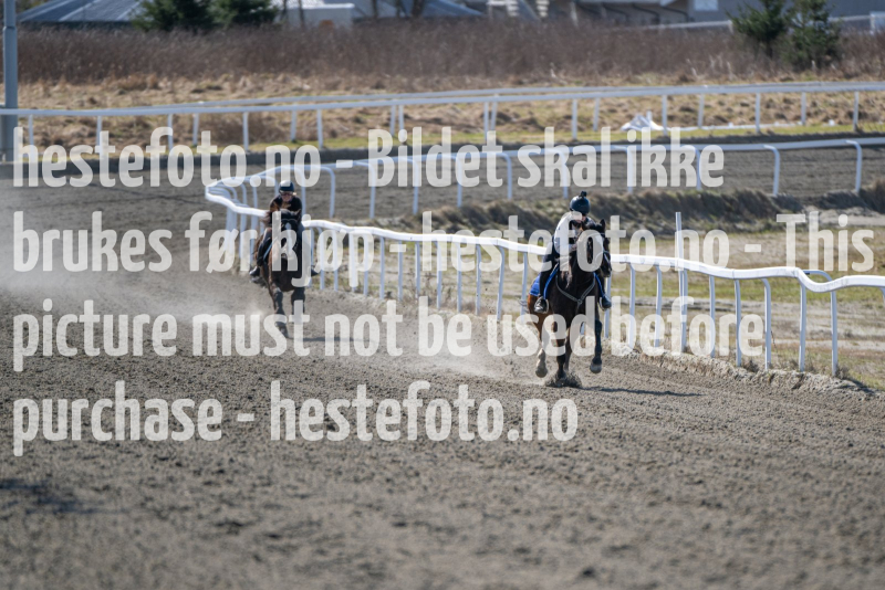 20240413-135519-DSC_4253