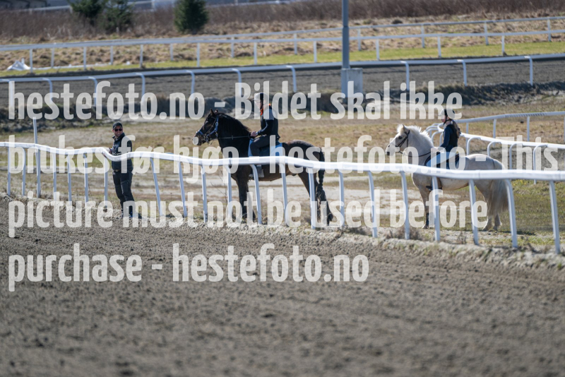 20240413-140030-DSC_4449