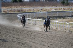 20240413-135519-DSC_4253