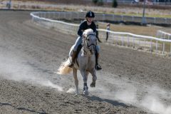 20240413-140146-DSC_4584