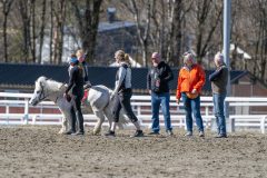 20240413-140800-DSC_4807