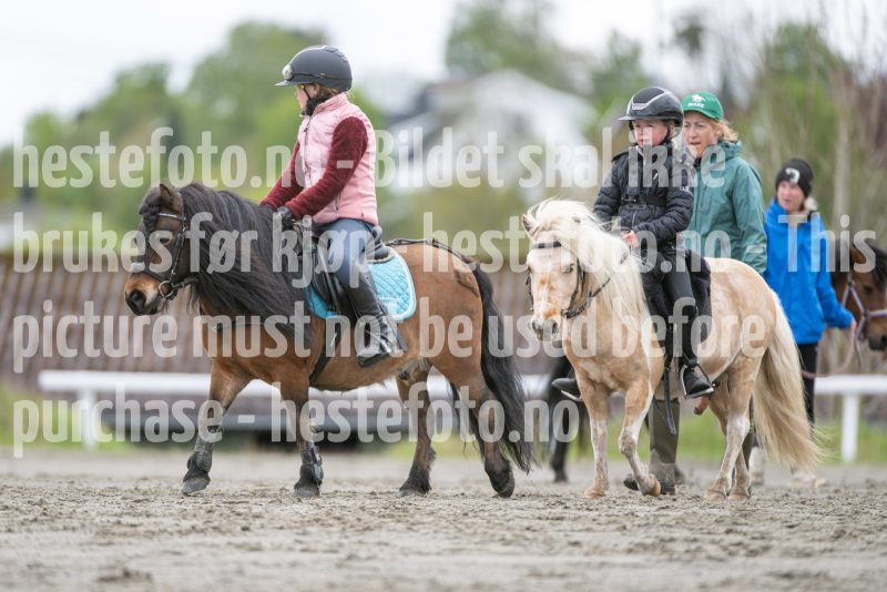 20260516-132639-DSC_6149