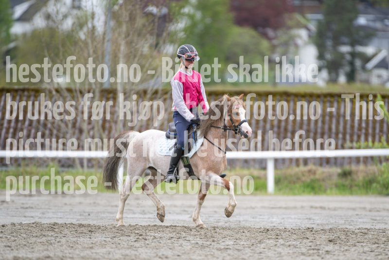 20260516-132826-DSC_6336