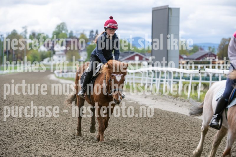 20260516-134713-DSC_6741