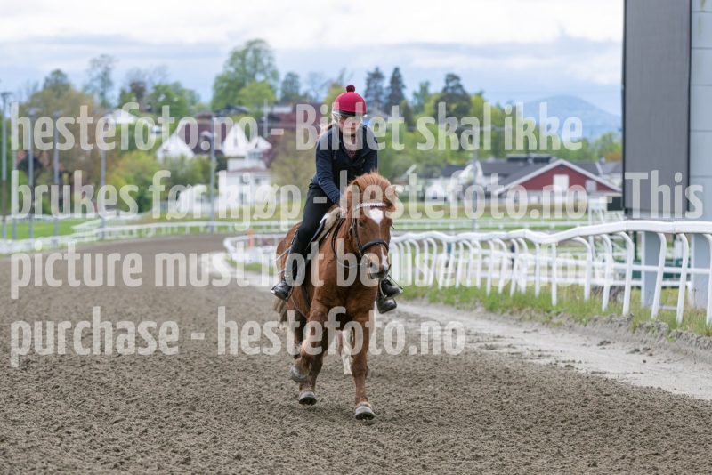 20260516-140725-DSC_7205