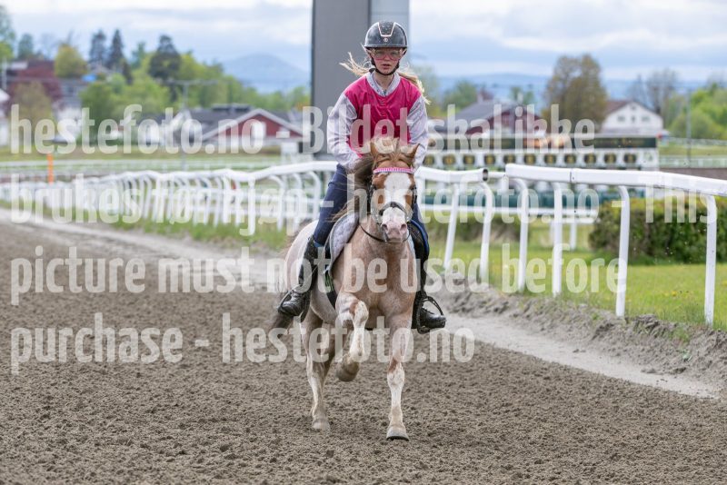 20260516-140728-DSC_7244