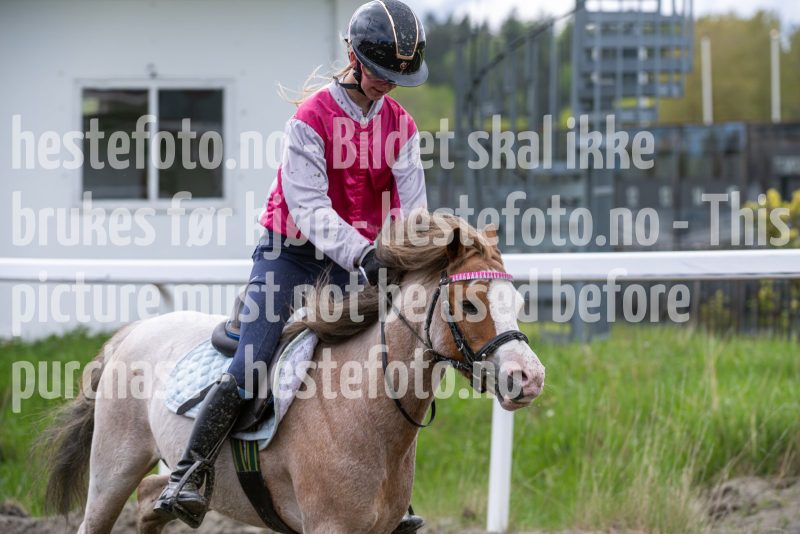 20260516-140729-DSC_7273
